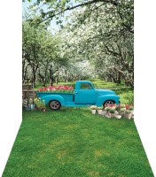 Tło fotograficzne winylowe wiosenne z błękitnym pickupem wsn054