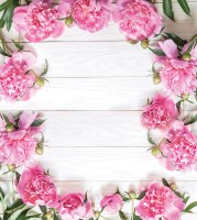 Tło fotograficzne na wesele w rozmiarze 180x200 WEDD254