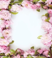 Tło fotograficzne na wesele w rozmiarze 180x200 WEDD255