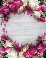 Tło fotograficzne na wesele w rozmiarze 160x200 WEDD256