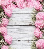 Tło fotograficzne na wesele w rozmiarze 180x200 WEDD260