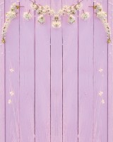 Tło fotograficzne na wesele w rozmiarze 160x200 WEDD265