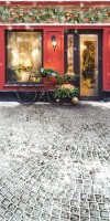 Świąteczne tło fotograficzne z czerwoną witryną sklepową sw196
