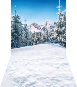 Tło fotograficzne świąteczne / zimowe - SW034