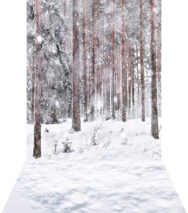 Tło fotograficzne świąteczne / zimowe - SW036