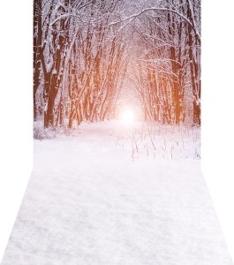 Tło fotograficzne świąteczne / zimowe - SW039