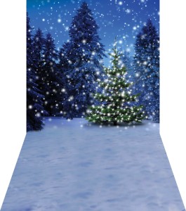 Tło fotograficzne świąteczne / zimowe - SW030