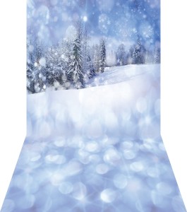Tło fotograficzne świąteczne / zimowe - SW031