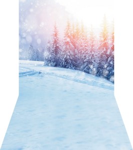 Tło fotograficzne świąteczne / zimowe - SW032