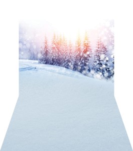 Tło fotograficzne świąteczne / zimowe - SW033