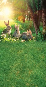 Tło fotograficzne winylowe wielkanocne 510g - WLKN015