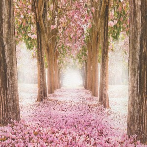 Tło fotograficzne winylowe, ścianka, flat lay, lasy, alejki, widoki 510g - AL001_