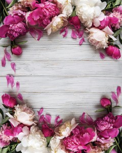 Tło fotograficzne winylowe, ścianka ślubna, weselna 510g - WEDD256