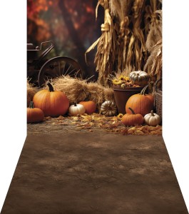 Tło fotograficzne - JSN017