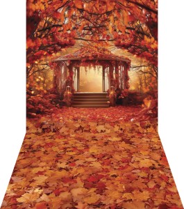 Tło fotograficzne - JSN020