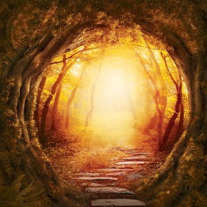 Tło fotograficzne winylowe, ścianka, flat lay, lasy, alejki, widoki 510g - AL006_