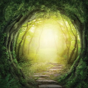 Tło fotograficzne winylowe, ścianka, flat lay, lasy, alejki, widoki 510g - AL007_