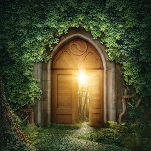 Tło fotograficzne winylowe, ścianka, flat lay, lasy, alejki, widoki 510g - AL008_