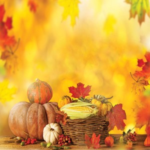 Tło fotograficzne winylowe, ścianka, flat lay, lasy, alejki, widoki 510g - HA015_