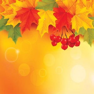 Tło fotograficzne winylowe, ścianka, flat lay, lasy, alejki, widoki 510g - JSN002_