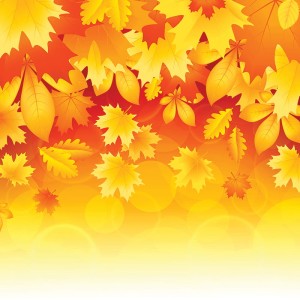 Tło fotograficzne winylowe, ścianka, flat lay, lasy, alejki, widoki 510g - JSN004_