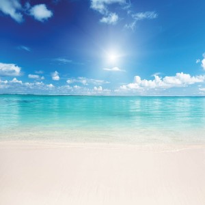 Tło fotograficzne winylowe, ścianka, flat lay, lasy, alejki, widoki 510g - NA001_