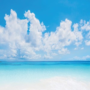 Tło fotograficzne winylowe, ścianka, flat lay, lasy, alejki, widoki 510g - NA002_