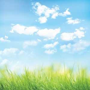 Tło fotograficzne winylowe, ścianka, flat lay, lasy, alejki, widoki 510g - NA006_