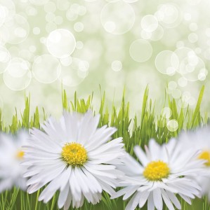 Tło fotograficzne winylowe, ścianka, flat lay, lasy, alejki, widoki 510g - WSN001_