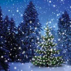 Tło fotograficzne winylowe, ścianka, flat lay, świąteczne 510g - SW030_