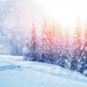 Tło fotograficzne winylowe, ścianka, flat lay, świąteczne 510g - SW032_