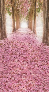 Tło fotograficzne winylowe Alejka 510g - AL000