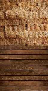 Tło fotograficzne winylowe wielkanocne 510g - WLKN055