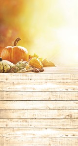 Tło fotograficzne winylowe jesienne halloween 510g - HA004