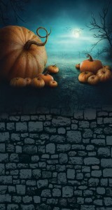 Tło fotograficzne winylowe jesienne halloween 510g - HA005