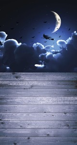 Tło fotograficzne winylowe jesienne halloween 510g - HA010