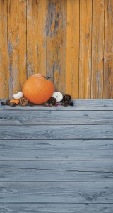 Tło fotograficzne winylowe jesienne halloween 510g - HA012