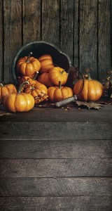 Tło fotograficzne winylowe jesienne halloween 510g - HA016
