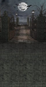 Tło fotograficzne winylowe jesienne halloween 510g - HA020