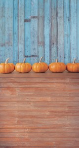 Tło fotograficzne winylowe jesienne halloween 510g - HA030