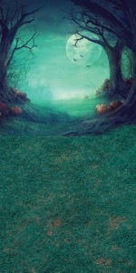 Tło fotograficzne winylowe jesienne halloween 510g - HA031