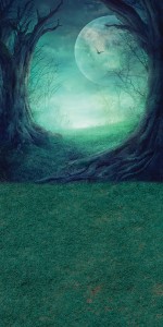 Tło fotograficzne winylowe jesienne halloween 510g - HA032