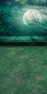 Tło fotograficzne winylowe jesienne halloween 510g - HA033