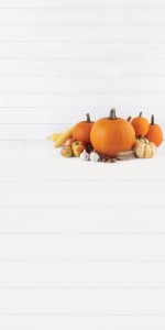 Tło fotograficzne winylowe jesienne halloween 510g - HA041