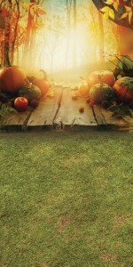 Tło fotograficzne winylowe jesienne halloween 510g - HA044