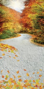 Tło fotograficzne winylowe alejka 510g - JSN009