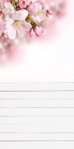 Tło fotograficzne winylowe zanikająca podłoga 510g - KWX016p