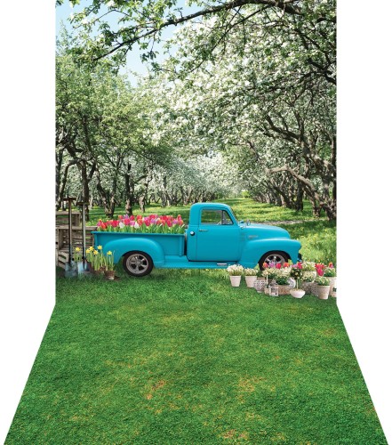 Tło fotograficzne winylowe wiosenne z błękitnym pickupem wsn054