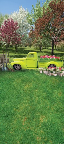 Wiosenne tło fotograficzne z zielonym pickupem wsn055