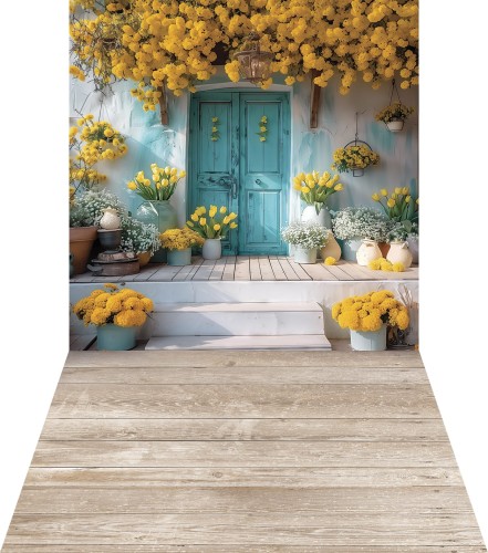 Tło wiosenne drzwi wsn096